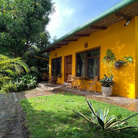 Casa ÚNica - Room With Breakfast Or Cabins With Kitchen La Laguna 外观 照片